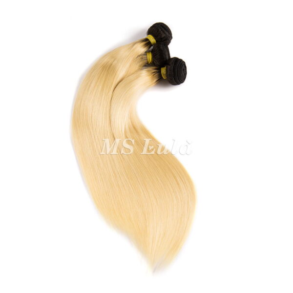 Virgin Natural Straight Hair Bundles Ombre Black Root 613# - Image 4